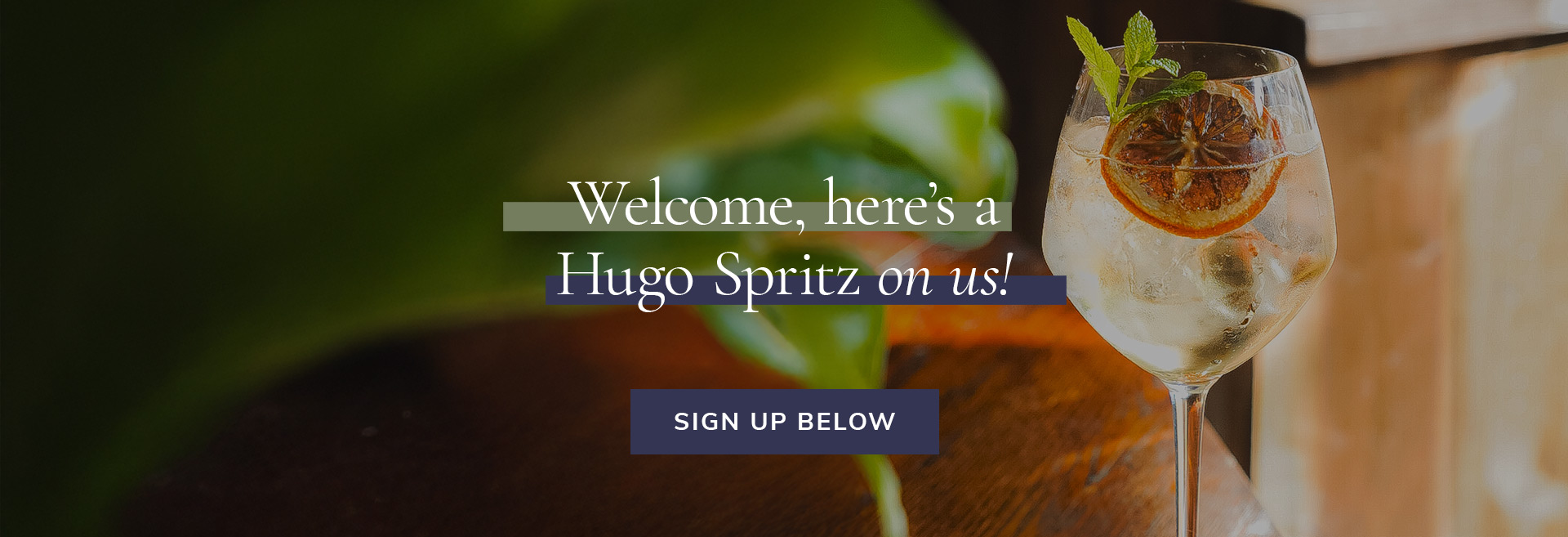 Sign up to the newsletter at The Brandling Arms