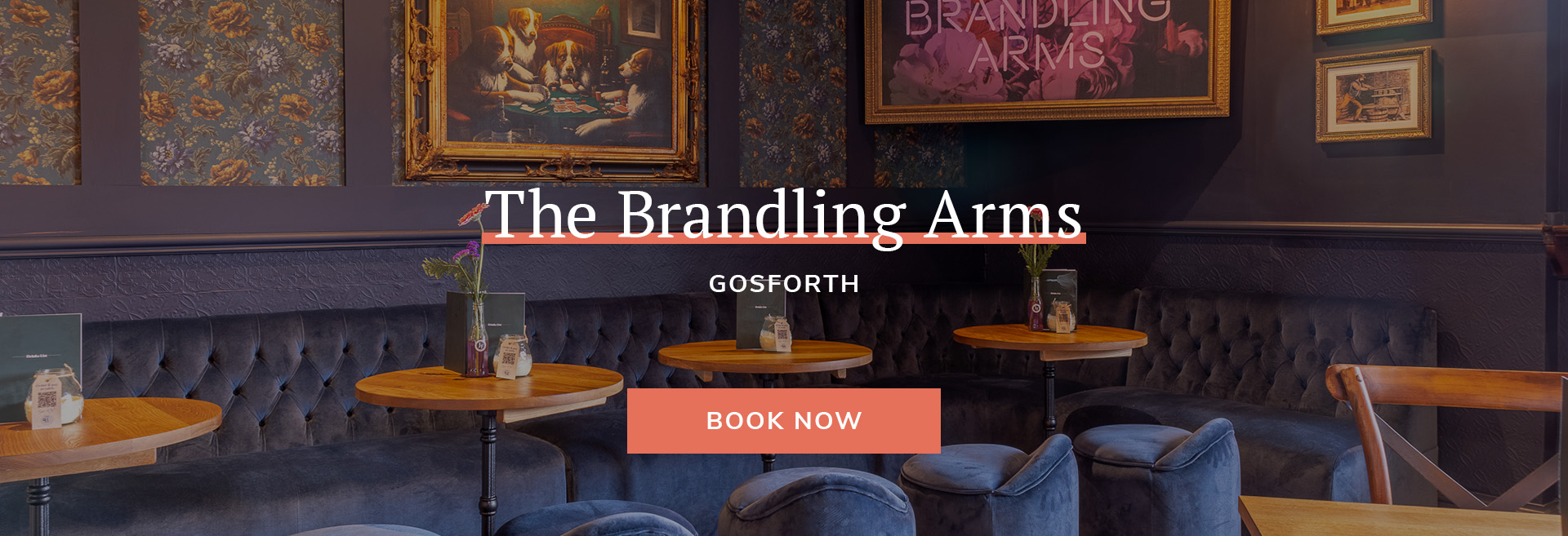 The Brandling Arms Banner 3
